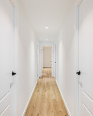 Long narrow straight corridor with doors on the left and right in a mini hotel after renovation. Concept of a cozy hotel and rooms for vacation or business trip. Copyspace