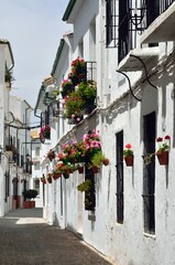 Calles con flores en el Barrio de la Villa, Priego de Cordoba
