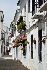 Fototapeta premium Calles con flores en el Barrio de la Villa, Priego de Cordoba