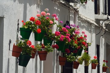 Fototapeta na wymiar Calles con flores en el Barrio de la Villa, Priego de Cordoba
