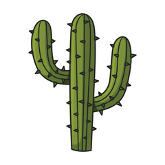Cactus vector icon.Color vector icon isolated on white background cactus .