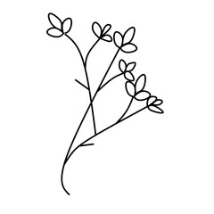 Decorative beautiful botanical. Minimalist hand drawn sketch. Vector stock illustration