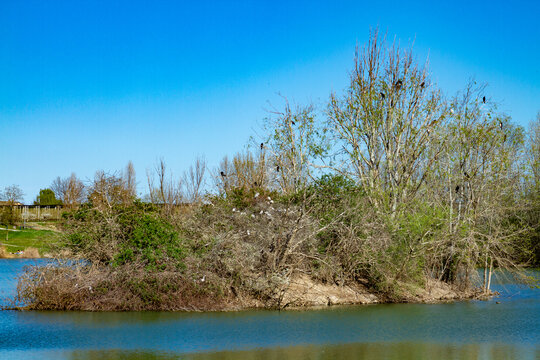 oasis wwf la francesa protected reserve for the protection of flora and fauna