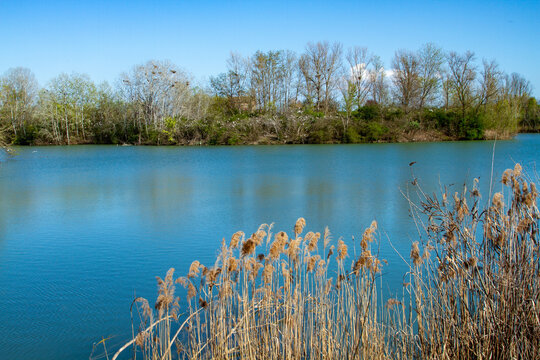 oasis wwf la francesa protected reserve for the protection of flora and fauna