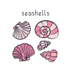 Vector set of seashells. Hand drawn illustration.