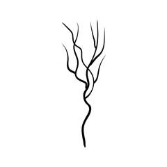 Vector outlined tree branch isolated on white background. Hand drawn illustration