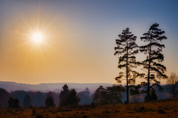 Sonnenuntergang in einer Heidelandschaft