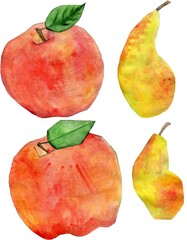 Apple and pear on white background. Smooth and geometric versions. Watercolor illustration.