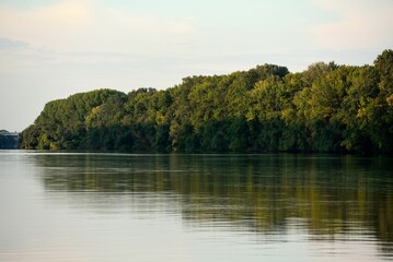 Fototapeta na wymiar Beautiful view of the Danube river lined with dense trees