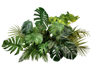 tropical leaves foliage plant jungle bush floral - obrazy, fototapety, plakaty
