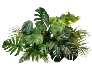 Tuinposter tropical leaves foliage plant jungle bush floral © Irfan Mulyana