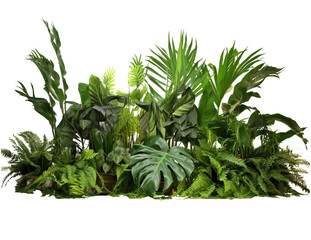 An intricate photo of a transparent arrangement of tropical foliage plants