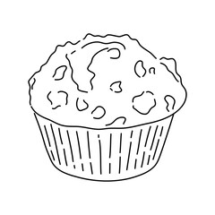Muffin hand drawn outline doodle icon. Vector.