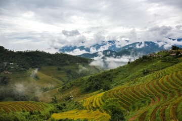 Fototapeta na wymiar Beautiful view of clouds slowly rising in the morning in the mountains of Vietnam highlands