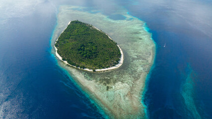 Aerial view of tropical island with a beach in the ocean. Beautiful sandy beach with palm trees. Balabac, Palawan. Philippines.