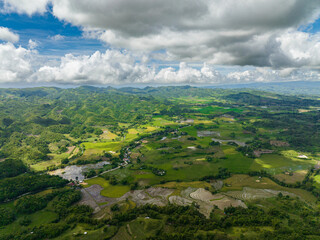 Farming and growing plants in a mountain valley. Negros, Philippines
