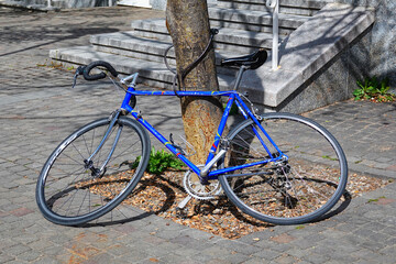 Ein altes, blaues Rennrad, das halb auf der Seite liegend an einen Baum angekettet ist