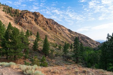 Fototapeta na wymiar Rocky hillside with green vegetation. Hunter Creek Trail, Reno, Nevada, USA.