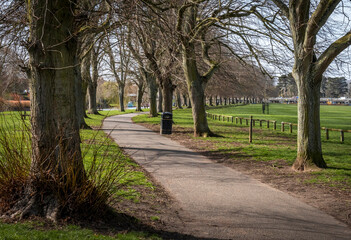 Avenue of trees, Evesham, Worcestershire, UK