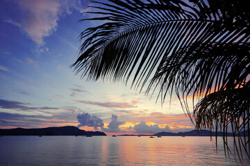 Fototapeta na wymiar Beautiful landscape with palm tree silhouette on sunset tropical beach.