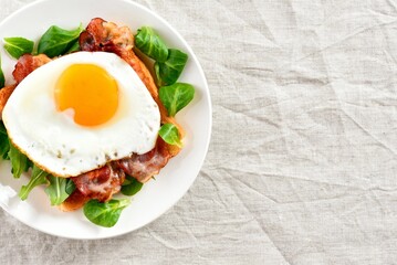 Open faced sandwich with egg