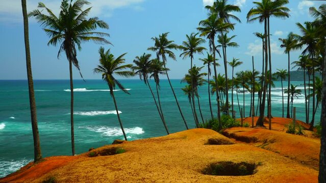 Beautiful coconut tree hill on Sri Lanka