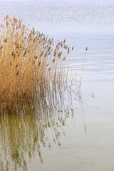 Halbinsel M&ouml;nchgut, R&uuml;gen