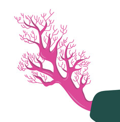 Coral icon. Resume isolated illustration on white background.