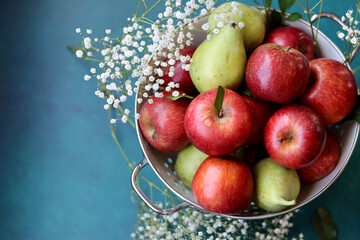 White gypsophila flowers and shiny red apples on a vibrant blue background with copy space. Colorful still life with fresh organic fruit. Eating healthy concept. 