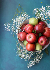 White gypsophila flowers and shiny red apples on a vibrant blue background with copy space. Colorful still life with fresh organic fruit. Eating healthy concept. 