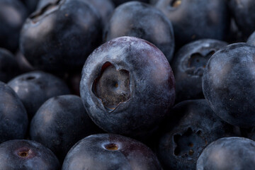 Blueberries on stone plate background