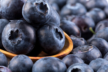 Blueberries on white background