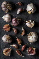 Fresh garlic bulbs and cloves grouped on black background