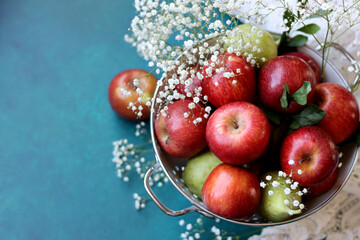 Naklejka na ściany i meble Red organic apples in a colander. Blue textured background with copy space. Beautiful seasonal fruit close up photo. Eating fresh concept. 