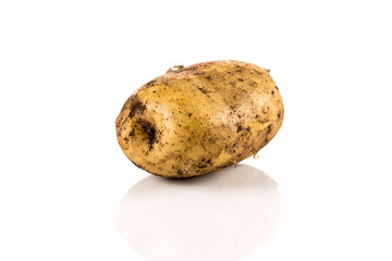 Dirty potato isolated on white background.