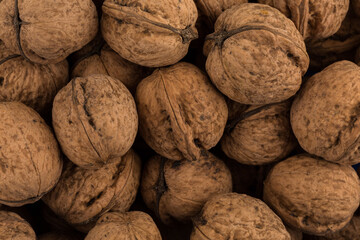 Walnut nut closeup