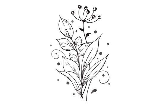 Floral graphic sketch drawing. Elegant simple tattoo design, hand