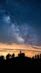 Fototapeta premium Vertical view of the silhouettes of a Sanctuary and trees under the starry night sky