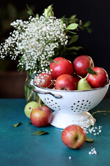 Fototapeta na wymiar Red apples on black background. Vibrant colors of fresh seasonal fruit. Apples in a colander. White flowers and fruit still life. 