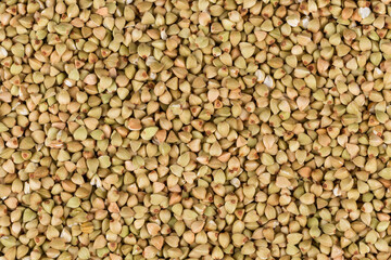 organic bio buckwheat
