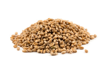 Wheat grain on white