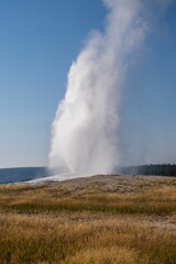 Vertical shot of the Old Faithful geyser erupting under a blue sky in Wyoming, United States.