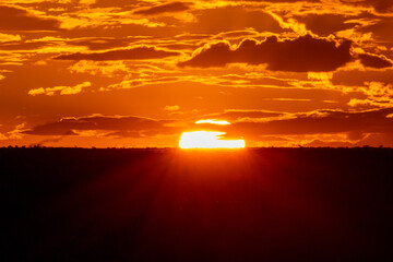 Fototapeta na wymiar Amazing African sunset in the Kgalagadi Transfrontier Park