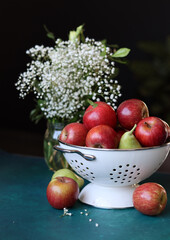 Naklejka na ściany i meble Red apples on black background. Vibrant colors of fresh seasonal fruit. Apples in a colander. White flowers and fruit still life. 