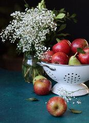 White flowers and red apples on a black background. Still life with juicy seasonal organic fruit in white colander on blue table. Vibrant colors of flowers and apples. Eating fresh concept. 