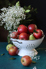 Red apples on black background. Vibrant colors of fresh seasonal fruit. Apples in a colander. White flowers and fruit still life. 