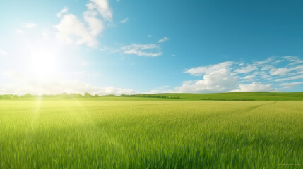 Fototapeta na wymiar Green Field Panorama: A Beautiful Natural Landscape