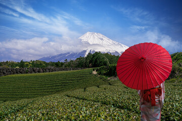 Japanese woman in green tea field with Fuji mountain - 592962207