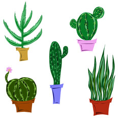 Vector set of cacti in pots, freehand drawing, flat design, elements for design, home plants