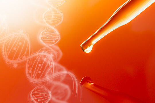 Macro science experiment pipette surface,Top view macro shot of chemical dropper injects oil into clear fluid in one of three petri dishes on yellow background , Abstract skin care cosmetics formulati